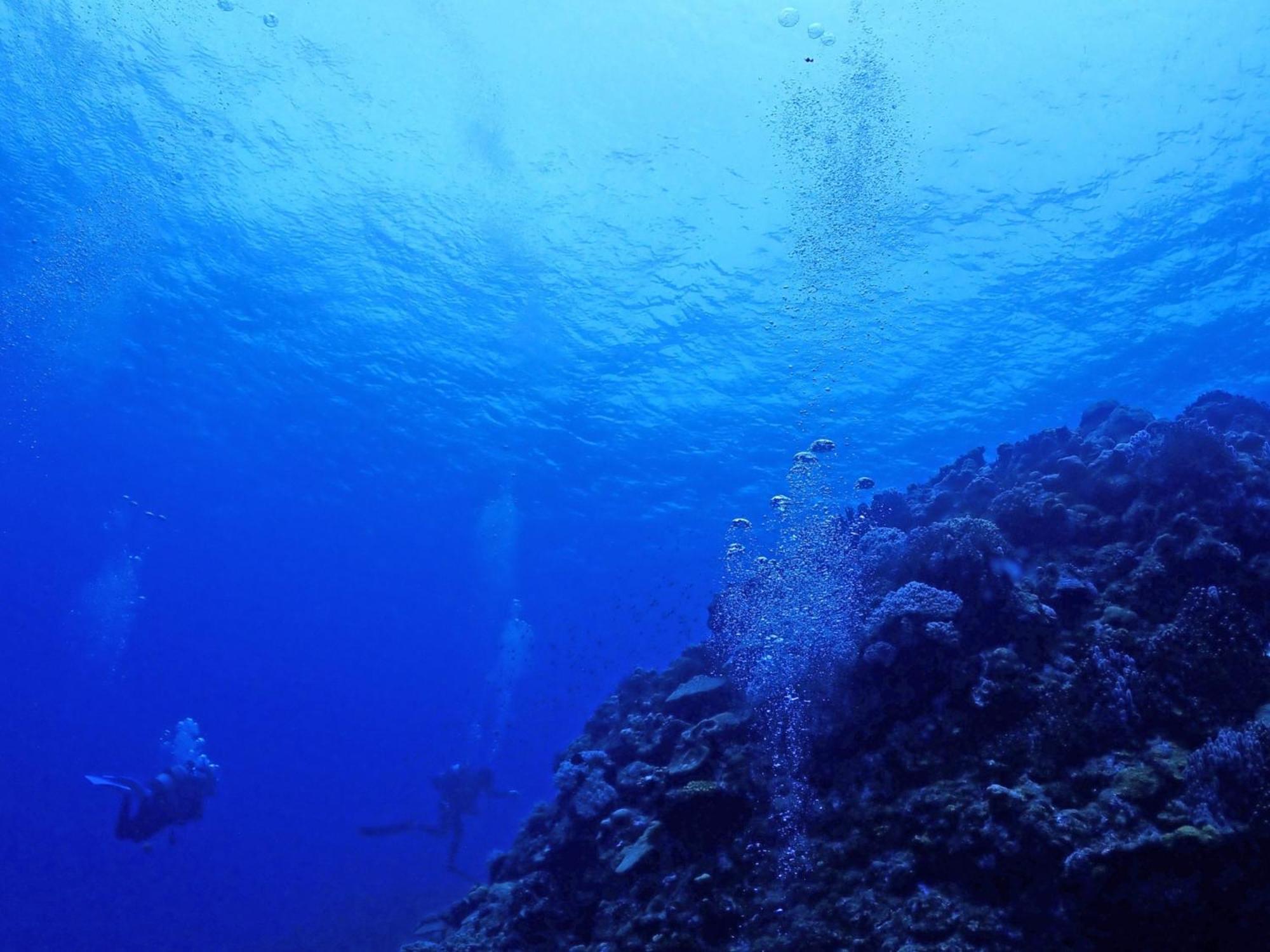 石垣島グループの宿 2216 にじいろ ユーグレナモール内 *
